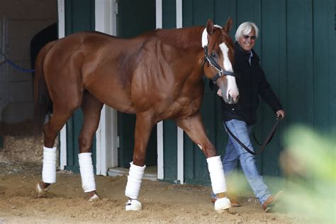 what chanel preakness 2018|Preakness 2018: Time, TV schedule, post positions .